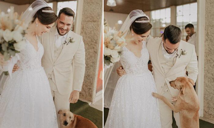 Newlywed Couple Adopts the Stray Dog That Crashed Their Wedding Ceremony
