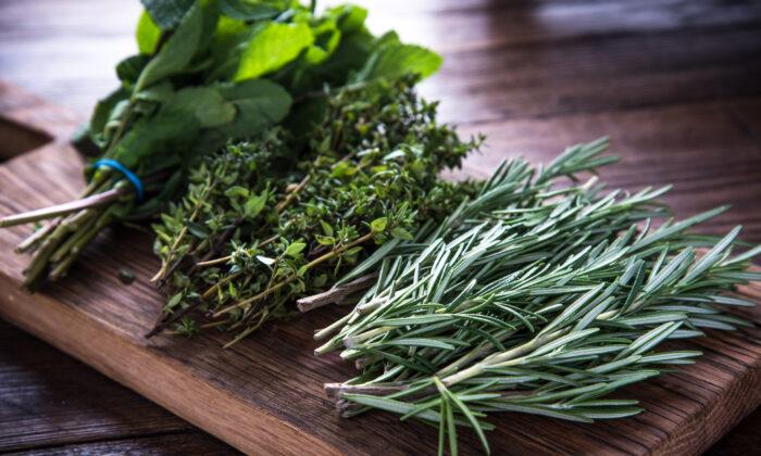 Herbs and Spices Can Help Protect Against EMFs