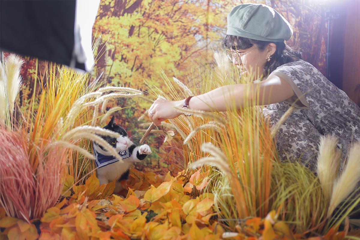 Wilson and Doris use creative lighting to put together the feeling of a fall day. (Courtesy of Wilson Ng)