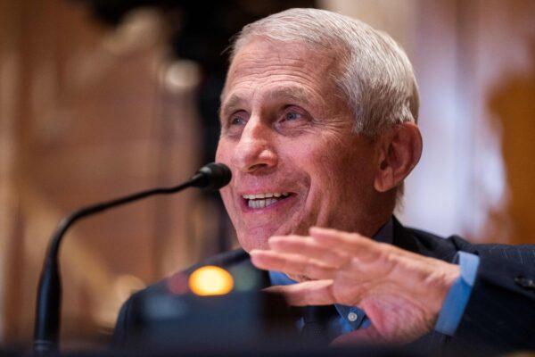 Director of the National Institute of Allergy and Infectious Diseases, Dr. Anthony Fauci, testifies during a senate subcommittee about funding matters on Capitol Hill in Washington, D.C., on May 17, 2022. (Shawn Thew/Pool/AFP via Getty Images)