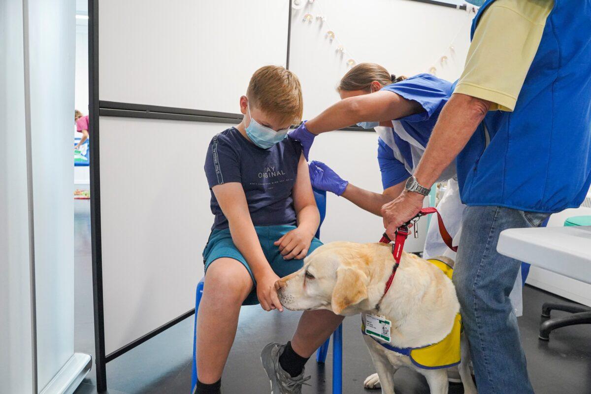 Molly, a 7-year-old labrador therapy dog, is stroked by Jake Gregory of Cornwall while Jake receives his COVID-19 vaccination at a temporary NHS COVID vaccination centre in Wadebridge, England, on Aug. 20, 2022. (Hugh Hastings/Getty Images)