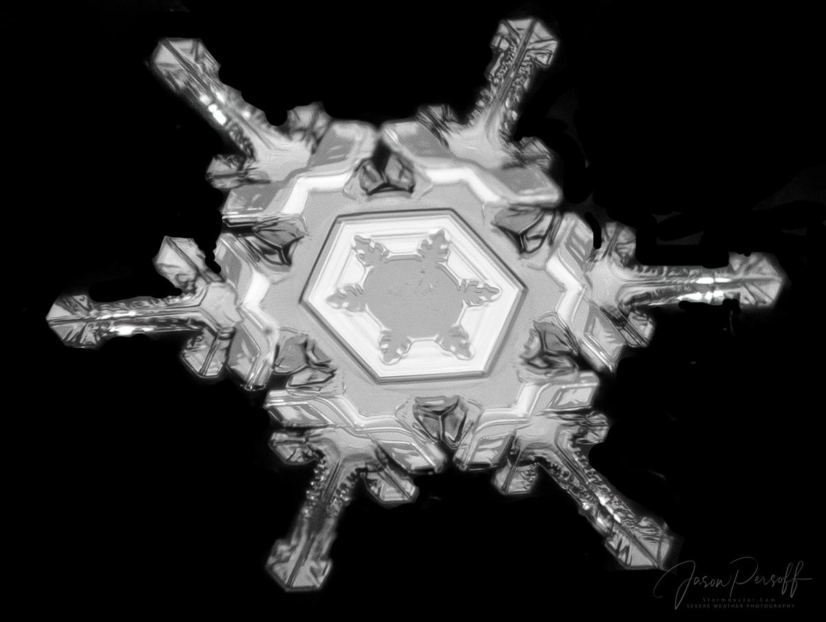 Snowflake in Snowflake. (Courtesy of <a href="https://stormdoctor.smugmug.com/">Jason Persoff</a>)
