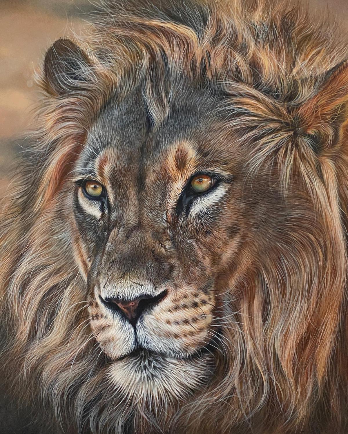 Commission acrylic painting of a male lion by Julie Rhodes. (Courtesy of <a href="https://www.julierhodes.com/">Julie Rhodes</a>)