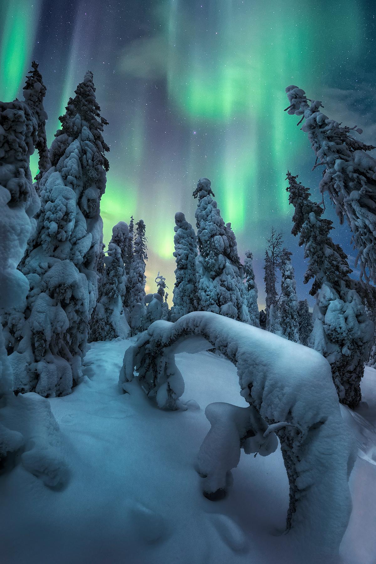 "Spirits of Winter" by Unai Larraya. (Courtesy of Unai Larraya)