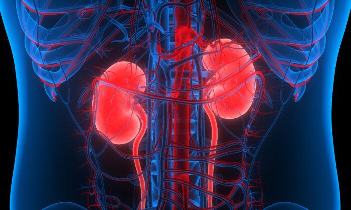 New Eye Scan May Detect Kidney Disease Early: Study
