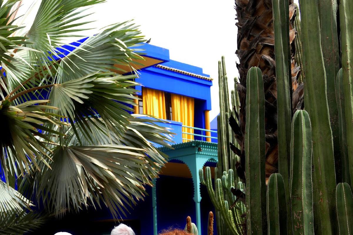 French fashion designer Yves Saint Laurent was inspired by the Majorelle Gardens in Marrakech, Morocco, and made his home there. (Courtesy of Phil Allen)