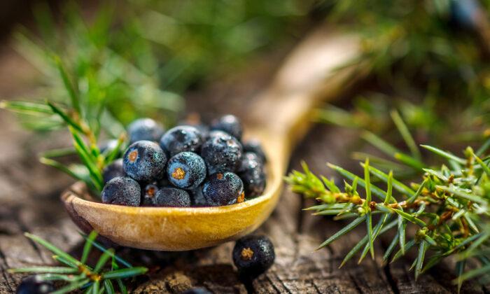 Juniper Berries Add a Taste of the Holidays to Your Favorite Foods