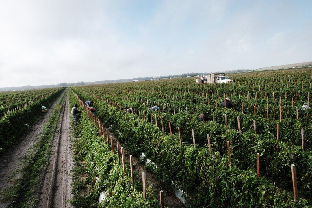 Florida Agriculture Commissioner Wants to Ban Land Sales to Foreign Entitities