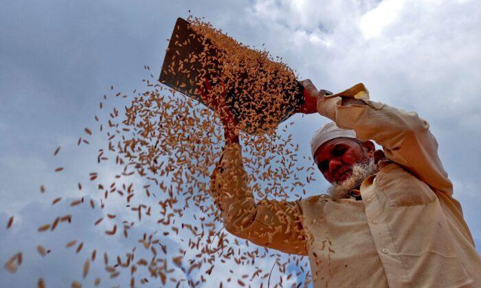 Food Inflation: Tight Grain, Oilseed Supplies to Keep Prices Elevated