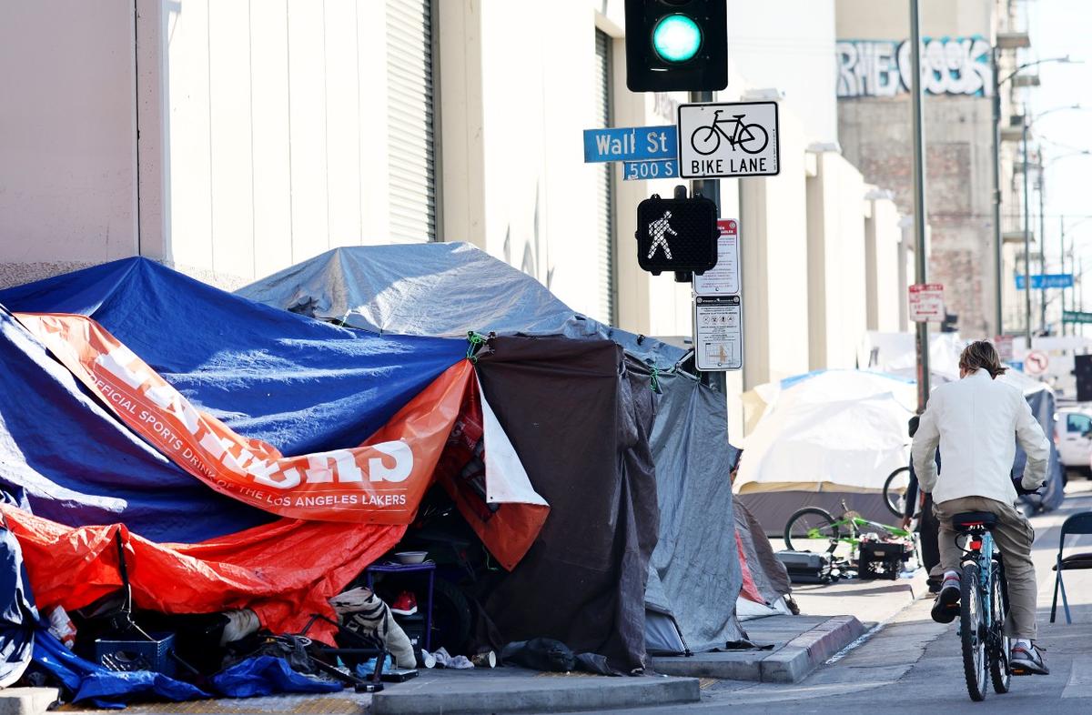 LA's Homeless State of Emergency Fails to Anticipate Scope, Complexity of Crisis: Expert