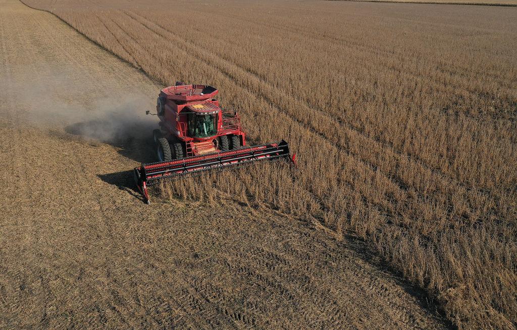 An aerial view from a drone shows a combine being used to harvest the soybeans in a field in Rippey, Iowa, on Oct. 14, 2019. (Joe Raedle/Getty Images)