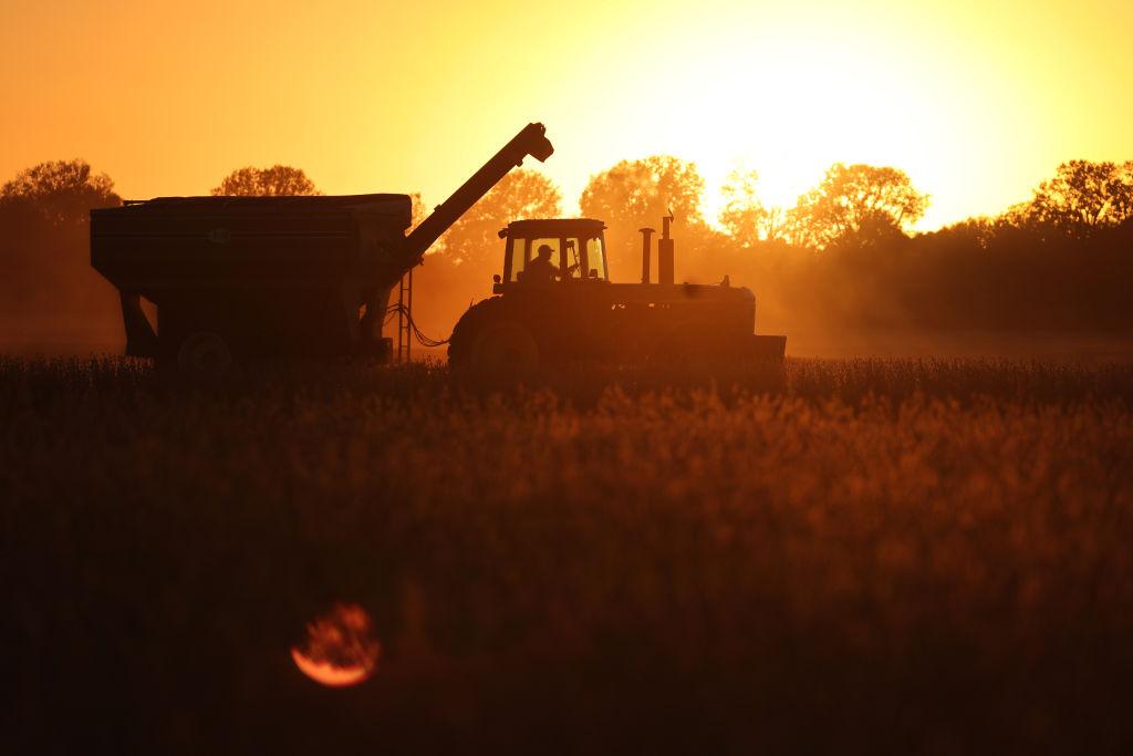 A farmer harvests soybeans in a field along the Mississippi River near Wyatt, MO., on Oct. 17, 2022. (Scott Olson/Getty Images)