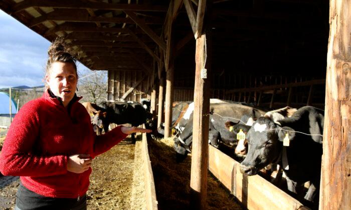Organic Livestock Farmers, Hit by Rising Prices, Seek Help