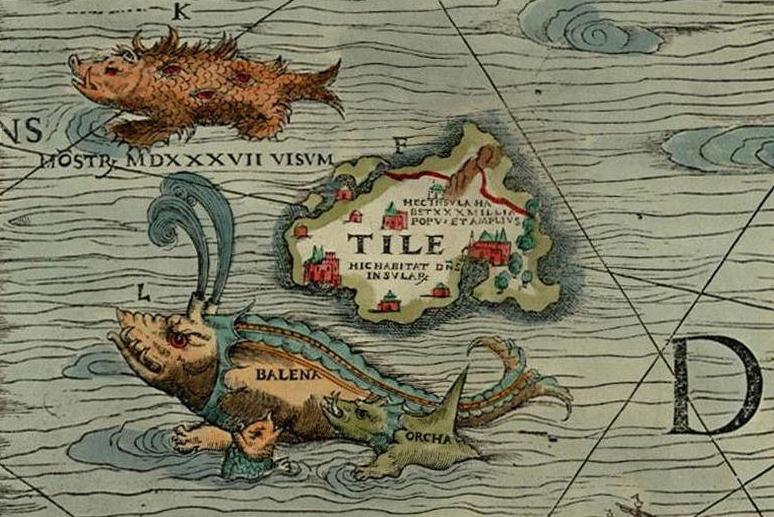 A "sea pig" (top left) is depicted alongside a whale and orca in Olaus Magnus’s 1539 map "Carta Marina." (Public Domain)
