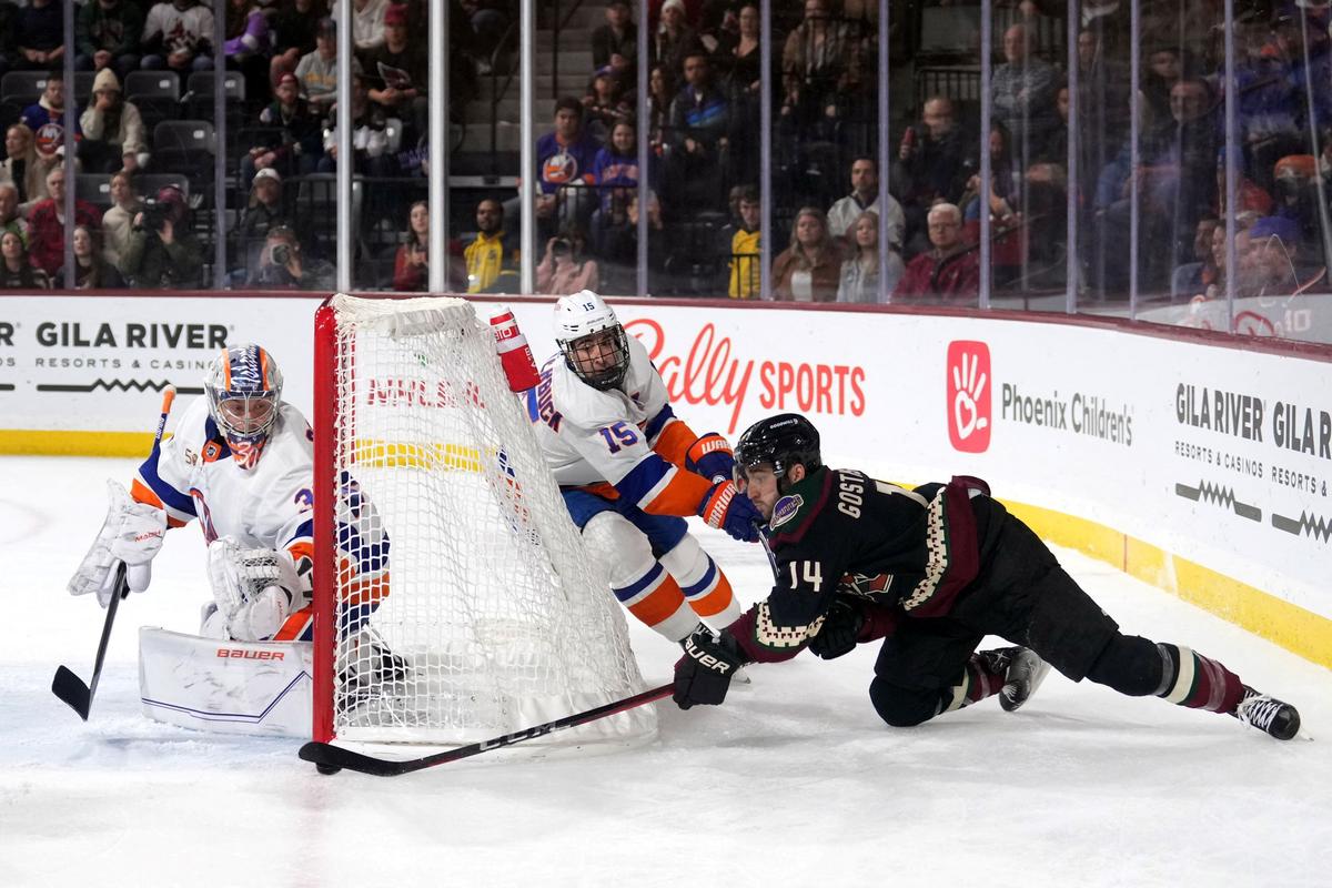 Arizona Coyotes defenseman Shayne Gostisbehere (14) is slashed by New York Islanders right wing Cal Clutterbuck (15) as he attempts a wraparound against New York Islanders goaltender Ilya Sorokin (30) during the second period at Mullett Arena in Tempe, Arizona, on Dec. 16, 2022. (Joe Camporeale/USA TODAY Sports via Reuters)