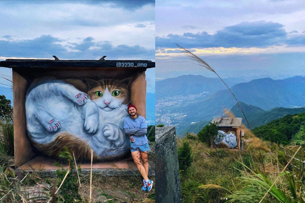 "The Cat in a House" in Tai Mo Shan, painted by Vladi. (Courtesy of @viadimir3230/Instagram）