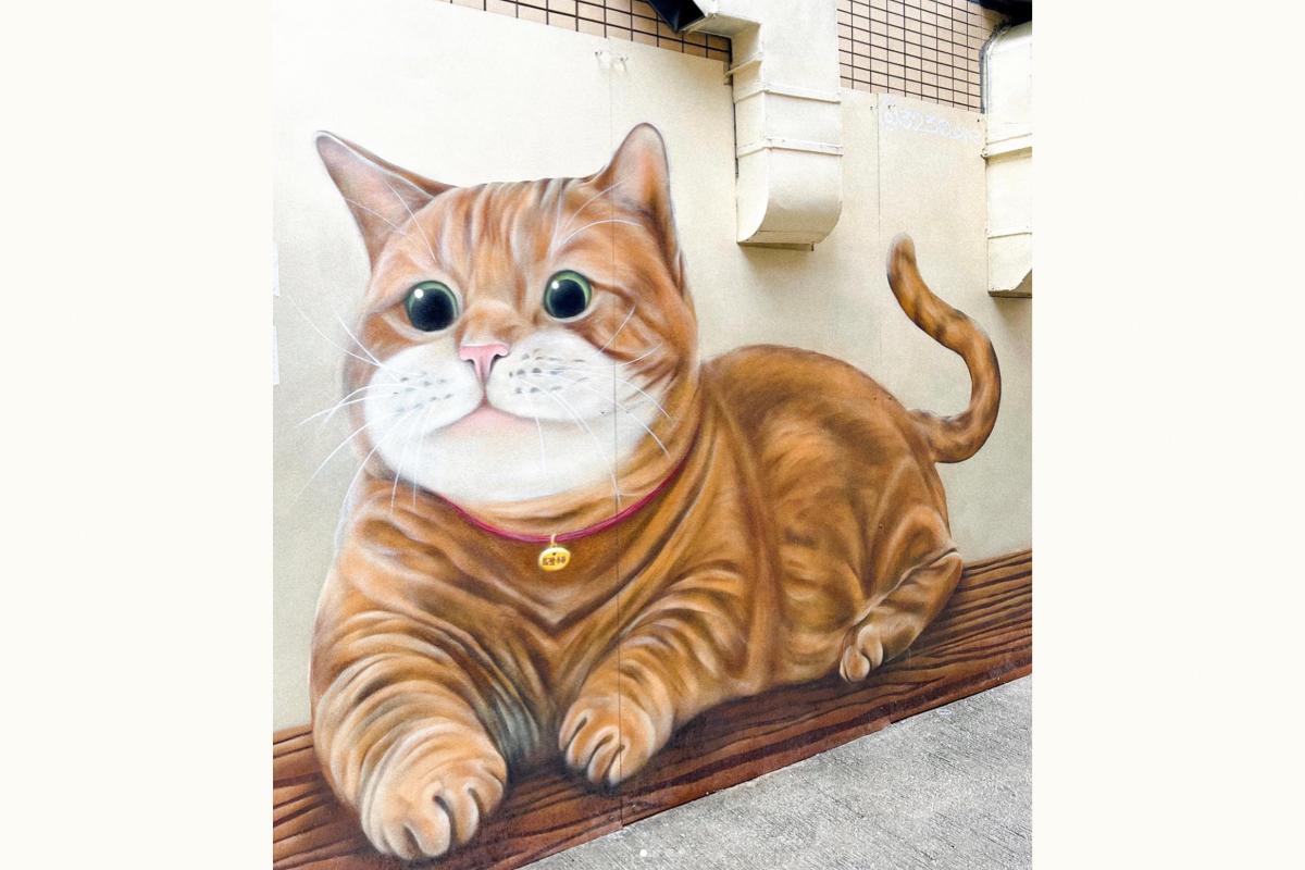 "Ma Wan Cat" on the wall of a new restaurant in Ma Wan painted by Vladi. (Courtesy of @viadimir3230/Instagram）