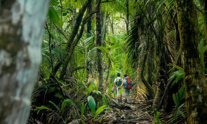 Nature Experiences in Costa Rica That You Won’t Want to Miss