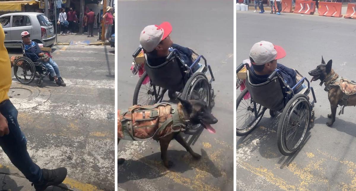 TikToker BrendaBriones9 recorded the amazing moment when a service dog wheeled its owner across a busy street in Ecatepec, Mexico. (Screenshot/Newsflare)