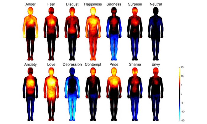 Study: Emotional Stimuli ‘Color’ Different Regions of the Body