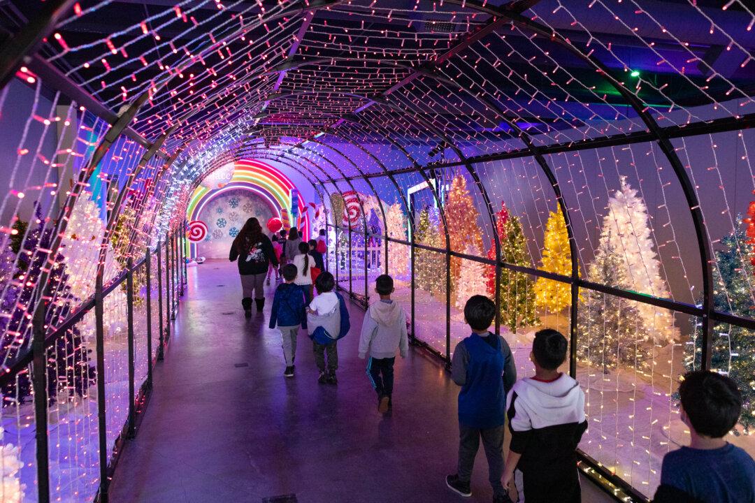 Discovery Cube Orange County Blends Holiday Fun With Science