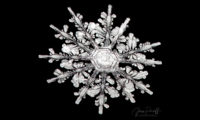 Colorado Man’s Close-Up Photos of Perfect 12-Point Snowflakes Look Incredibly Amazing