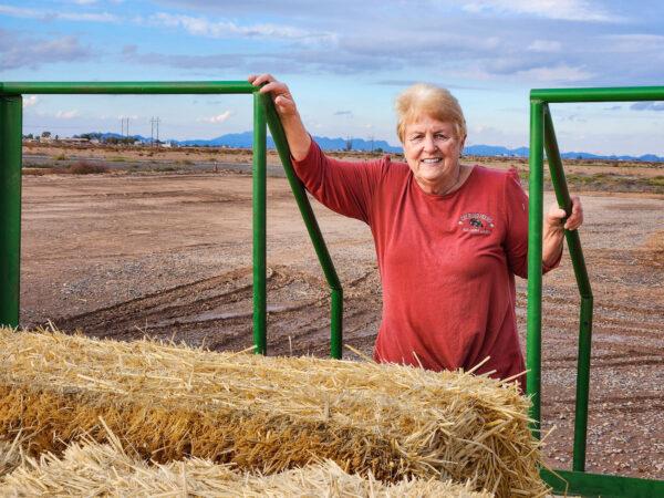 Cotton farmer Nancy Caywood of Caywood Farms in Casa Grande, Ariz., climbs atop a wagon filled with hay on Dec. 7, 2022. (Allan Stein/The Epoch Times)