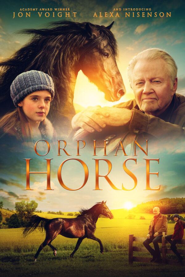 "Orphan Horse" is a story of overcoming abandonment and loss. (Prime Video)