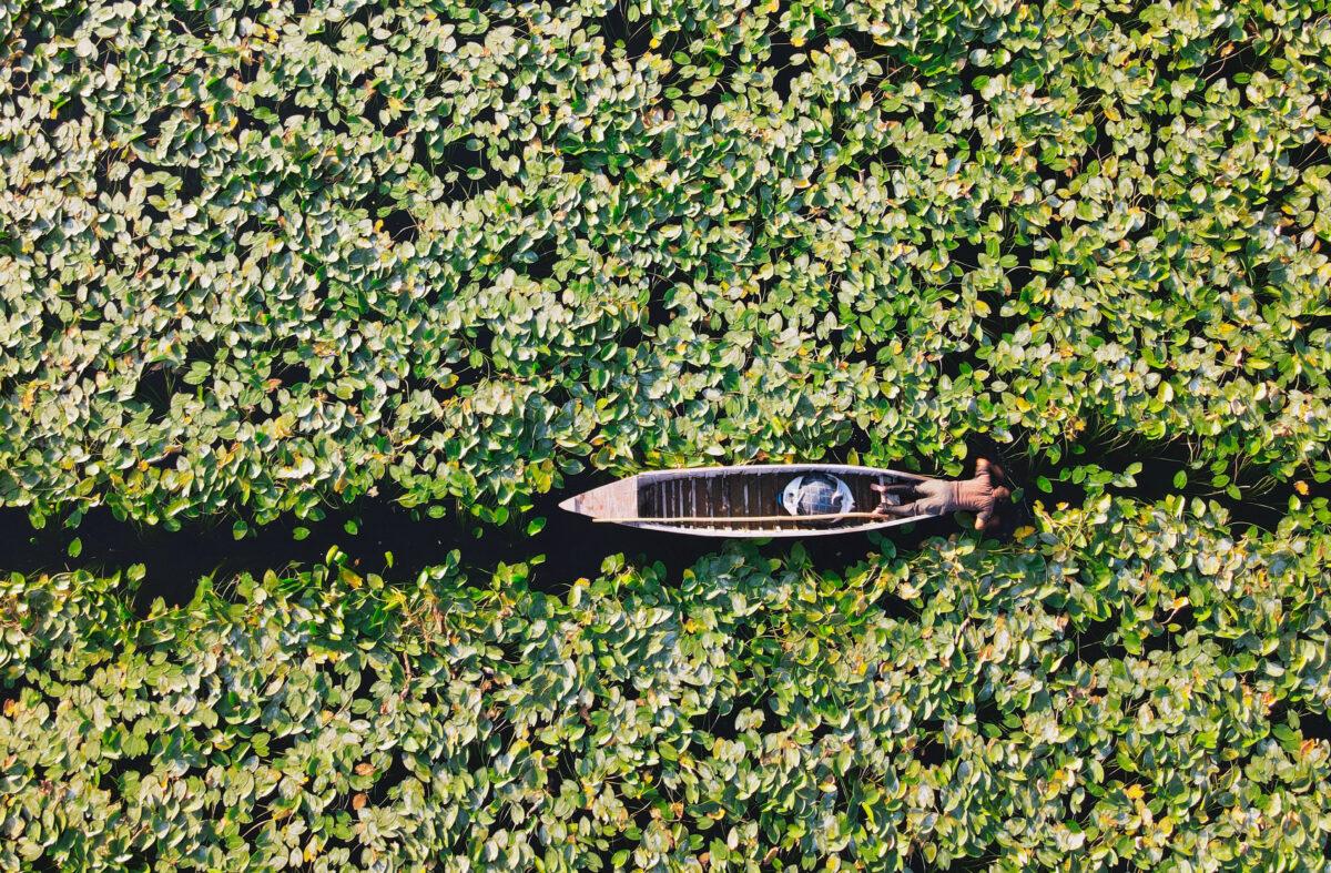 An aerial photo of a fisherman in his boat among water lilies in Lake Golbasi in southern Turkey's Hatay province on Aug. 17, 2022. (OMAR HAJ KADOUR/AFP via Getty Images)