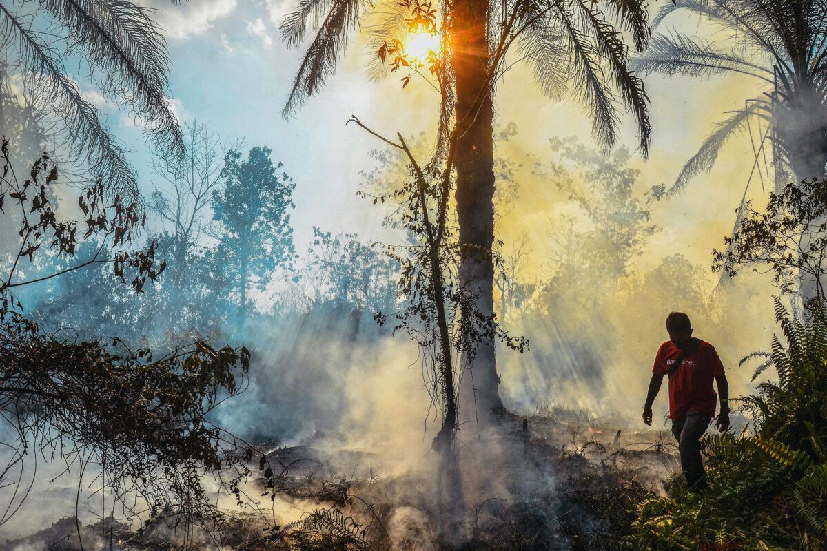 A man walks past a burning peatland in Pekanbaru, the capital of the Indonesian province of Riau, on April 1, 2022. Dry peat burns easily and can be difficult to put out, endangering nearby protected forests. (WAHYUDI/AFP via Getty Images)
