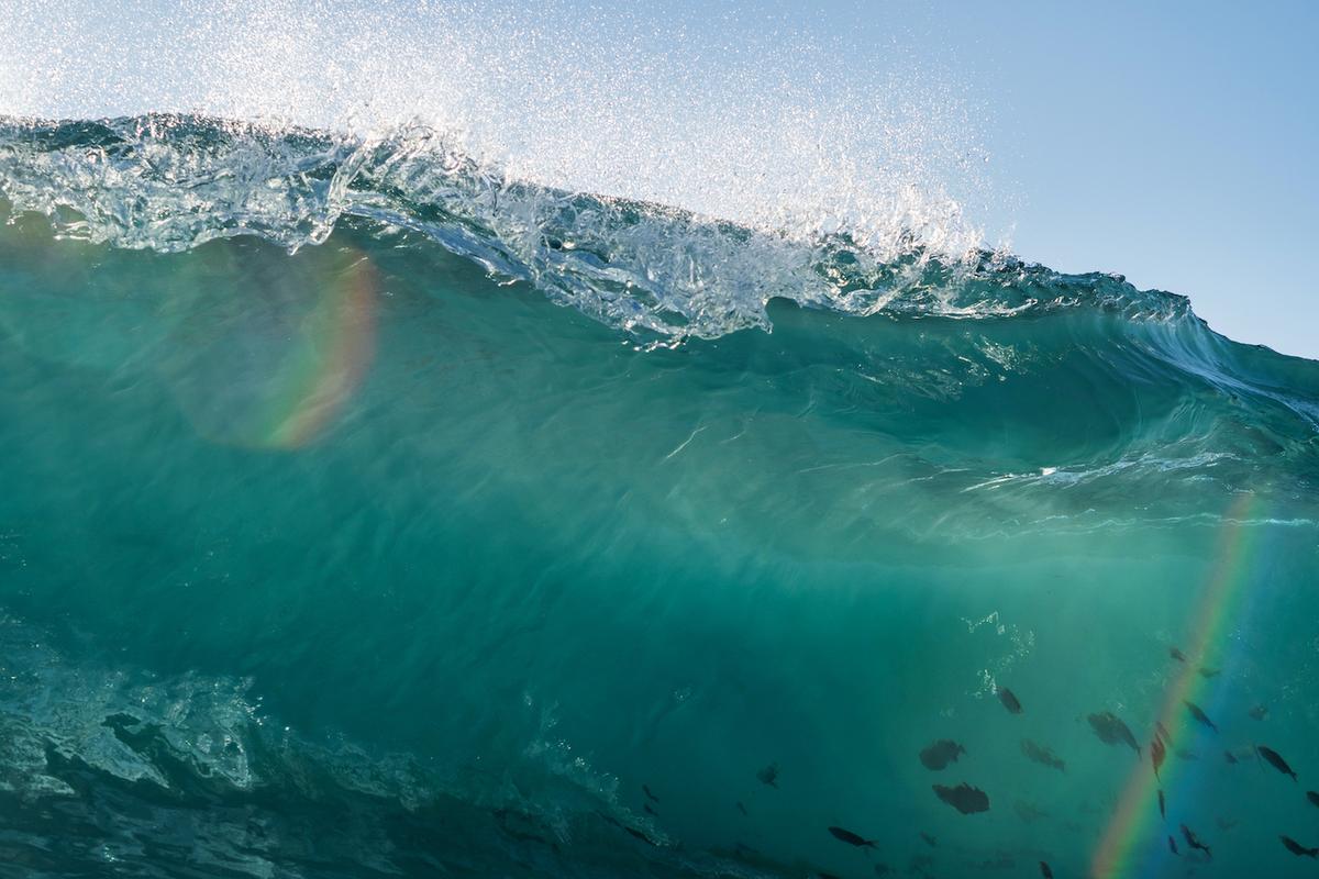 Ocean wildlife can be seen within a giant translucent wave as it swells in front of Pieters's camera. (Courtesy of <a href="https://www.instagram.com/orangerocks.za/">Terence Pieters</a>)