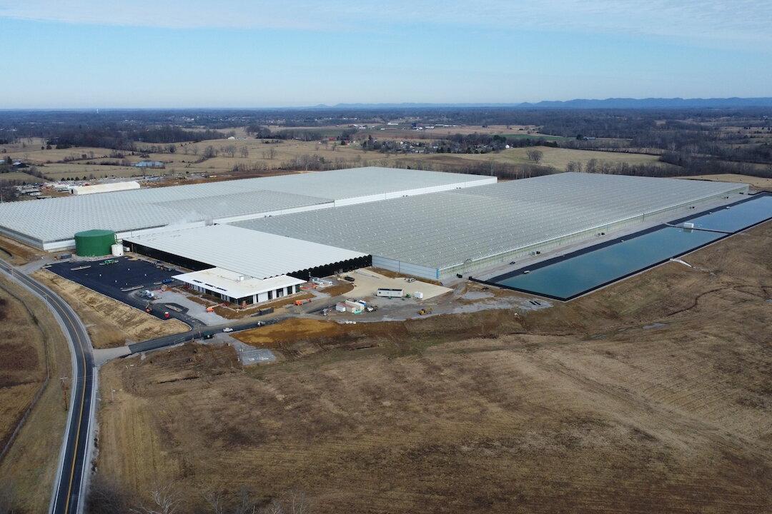 Indoor Agriculture Allows for Year-Round Growing Season in Kentucky