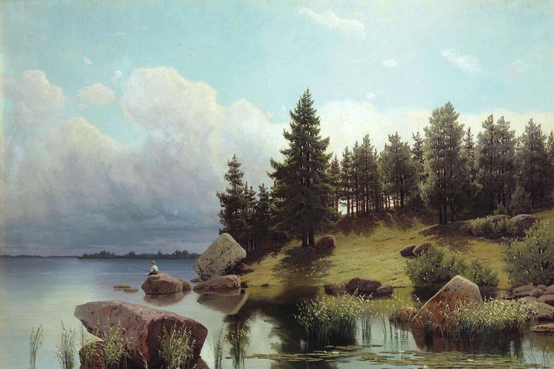 Book Review: ‘Forest Walking: Discovering the Trees and Woodlands of North America’