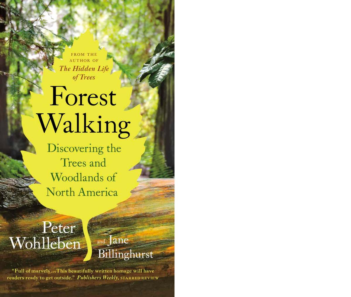 Cover of the 2022 guide "Forest Walking" by Peter Wohlleben and Jane Billinghurst. (Public Domain)