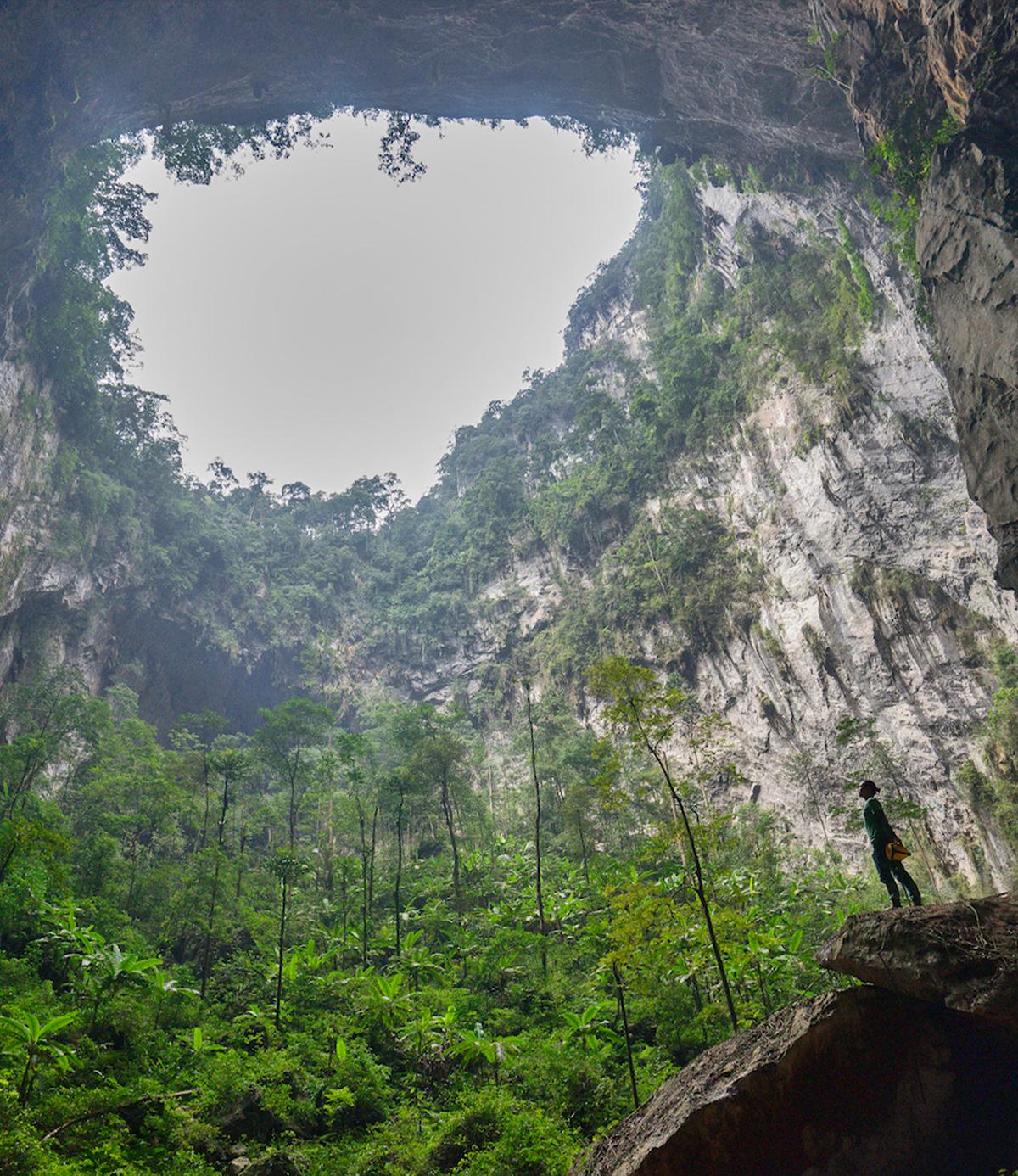 Doline 2 in Son Doong is so large that trees grow inside. (<a href="https://commons.wikimedia.org/wiki/File:Son_Doong_Cave_DB_(3).jpg">Dave Bunnell</a>/CC BY-SA 4.0)