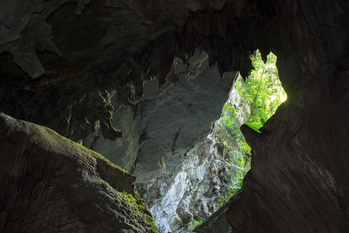 Son Doong cave opens into the outside world. (Vietnam Stock Images/Shutterstock)