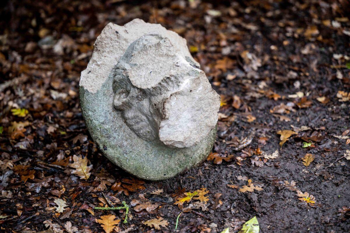 The head of the Charles Swanston statue rests on the ground near a bush in William Land Park in Sacramento, Calif., on Dec. 27, 2022. (Hector Amezcua/The Sacramento Bee via AP)