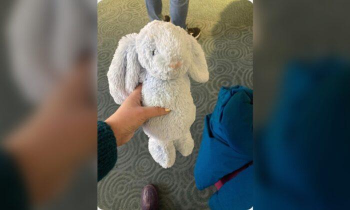 The Tale of Bunbun, Stranded at Vancouver Airport, Has a Happy Ending
