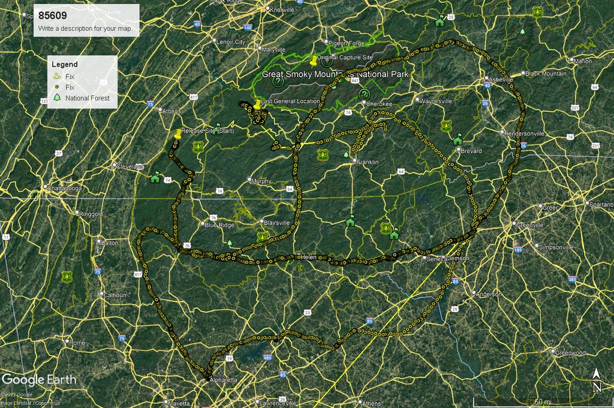 A map shows 609's GPS location, traversing over 1,000 miles, through 4 different states, to return to her old home at Great Smoky Mountains National Park (GSMNP). (Courtesy of Bill Stiver)