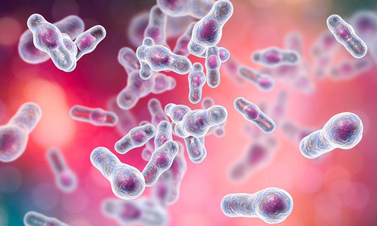 Antimicrobial Resistance Responsible for Over Half a Million Deaths in the Americas: Study