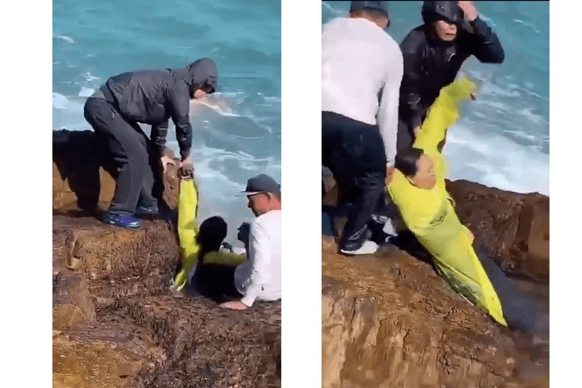 In these stills taken from video a woman is seen being pulled from the waters after falling in, in Hong Kong on Dec. 25, 2022. (Cyrus Chow via Facebook/Screenshot via The Epoch Times)