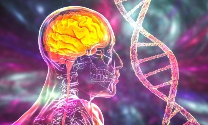 50 Percent of Alzheimer’s Cases Due to Gene Allele, Lifestyle Factors Key for Prevention