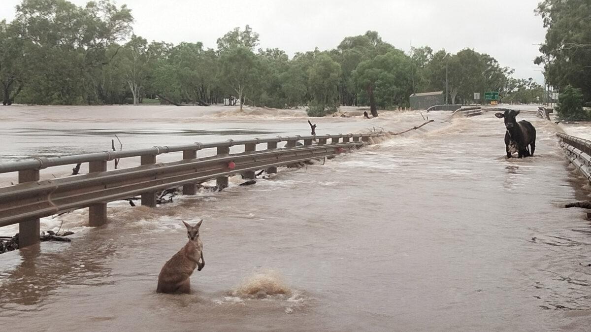 A supplied image obtained on Wednesday, Jan. 4, 2023, of floodwaters in the Kimberley region of Western Australia. A remote Western Australian town surrounded by a 100-year flood has become a refuge for hundreds of people evacuated from outlying communities. (Andrea Myers/AAP)