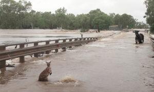 Food Drop-Offs for Flood Ravaged Outback Towns In Western Australia