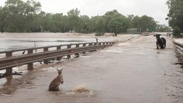 A supplied image obtained on Wednesday, Jan. 4, 2023, of floodwaters in the Kimberley region of Western Australia. (AAP Image/Supplied by Andrea Myers)