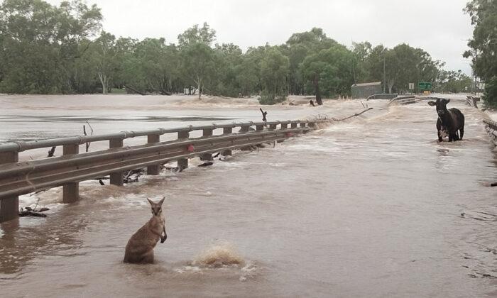 Towns to Be Cut Off by Record Flooding in Western Australia
