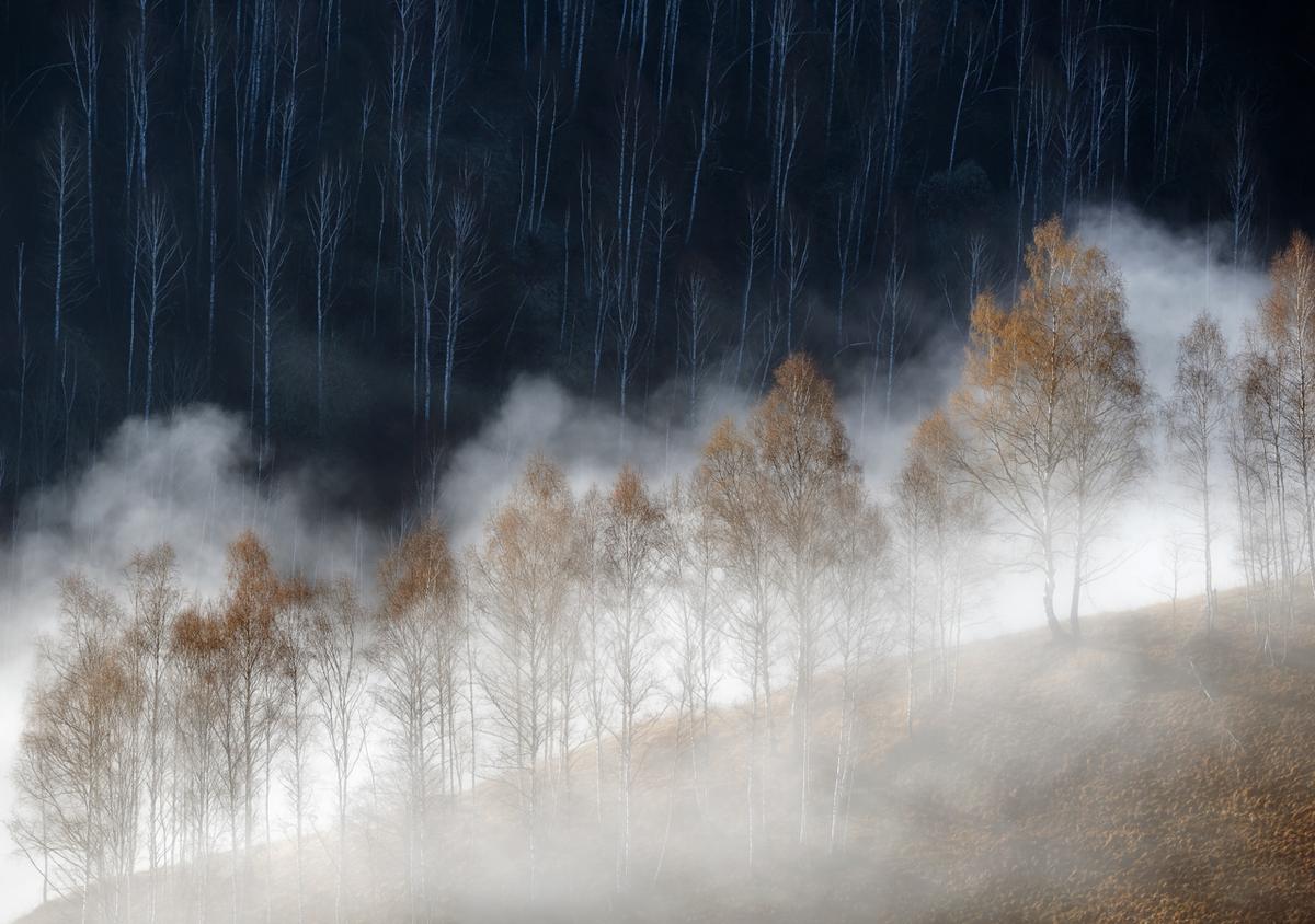 "Cold and Warm" by Soare Laurentiu of Romania creates "harmony" with its complementary colors, lines, and patterns, while fog and steam add "mood" to an excellent shot. (Courtesy of Soare Laurentiu/<a href="http://www.naturephotographeroftheyear.com/">NPOTY 2022</a>)