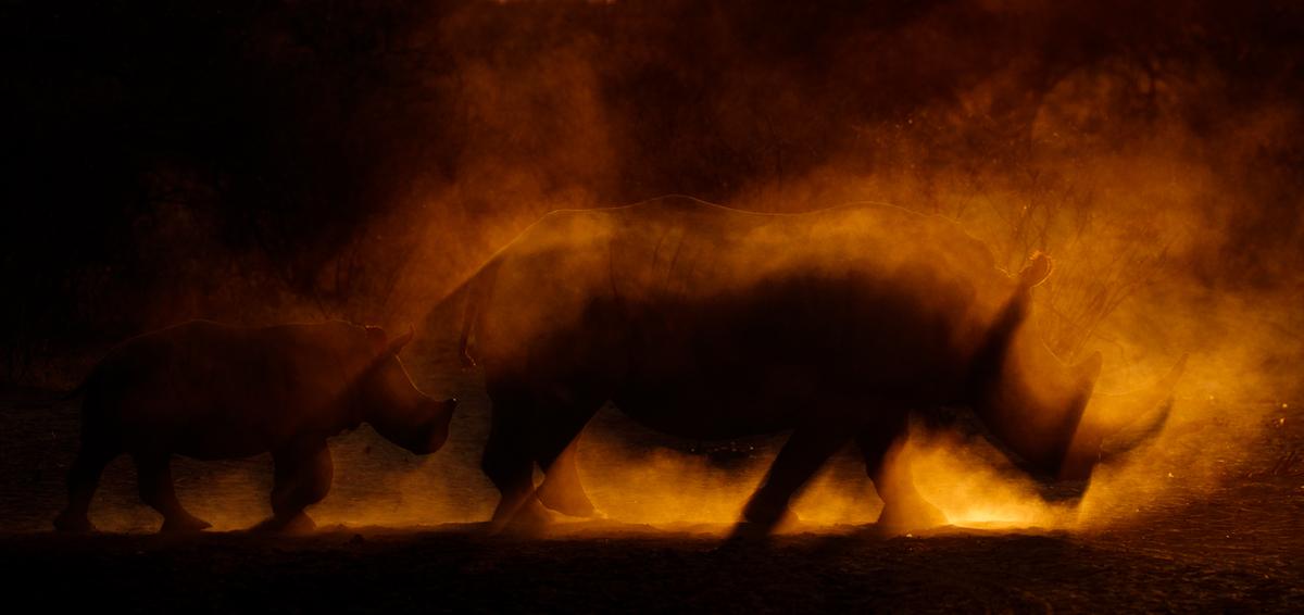  "Fire_of_Creation" by James Gifford. (Courtesy of James Gifford/<a href="http://www.naturephotographeroftheyear.com/">NPOTY 2022</a>)