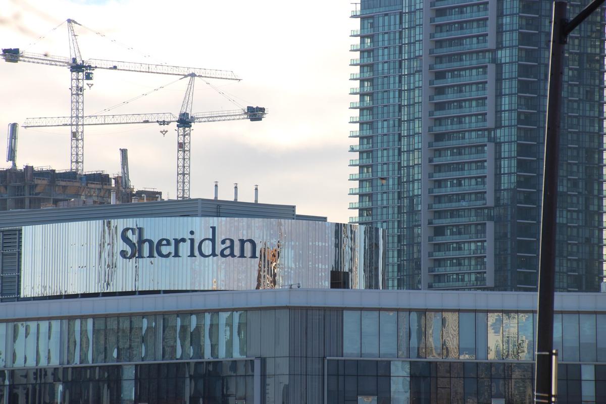 Sheridan College Worker Fired After Criticizing Anti-Racism Training