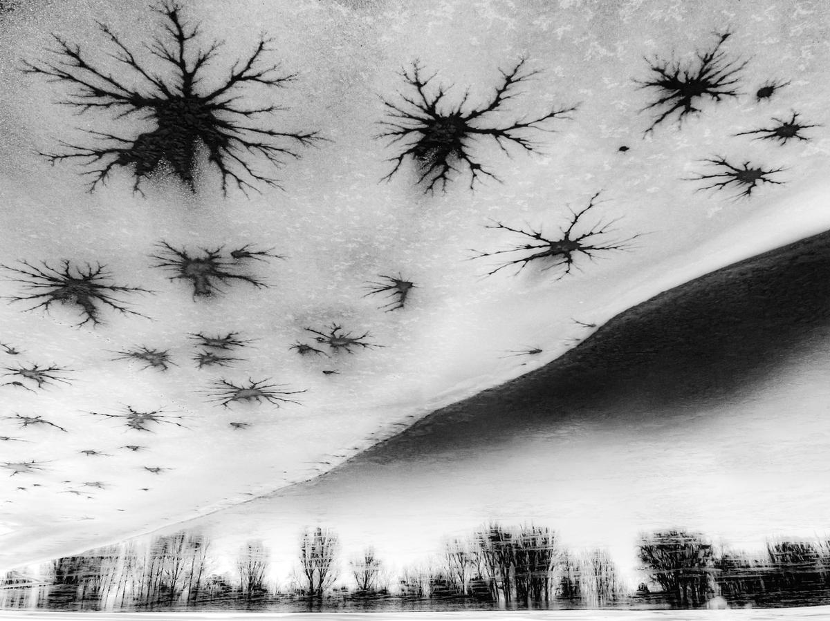  "Trees and Stars" by Csaba Daróczi of Hungary looks like something from a Tim Burton film, according to judge Stefan Gerrits. "Lots of drama," he said. "These star-shaped cracks on the surface of the ice, or rather sky in this case, are getting larger in size and are breathtaking to stare at. The dynamic, blurred tree line gives this image a clear perspective." (Courtesy of Csaba Daróczi/<a href="http://www.naturephotographeroftheyear.com/">NPOTY 2022</a>)